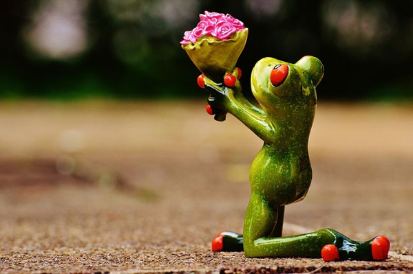 o-que-fazer-apos-captar-leads-inbound-marketing-1