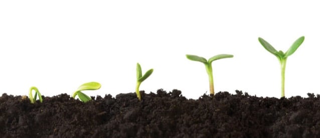 planta-crescder.jpg